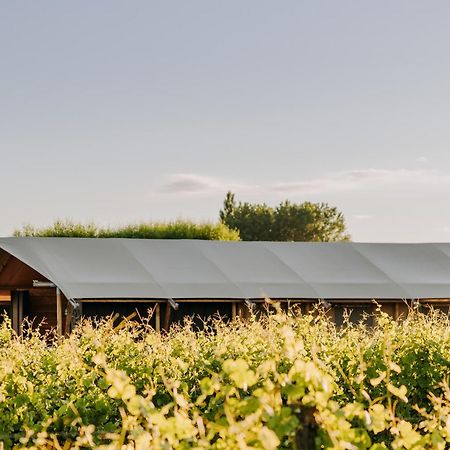 Villas & Vines Glamping Hastings Buitenkant foto