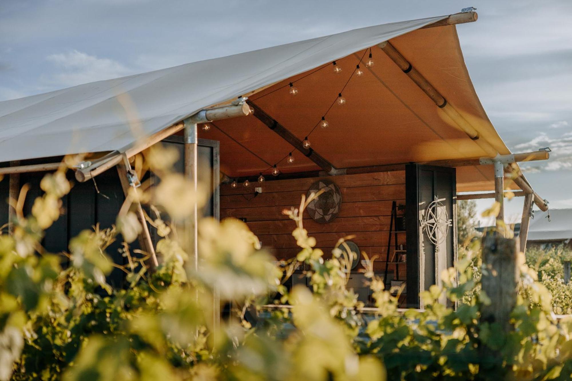 Villas & Vines Glamping Hastings Buitenkant foto