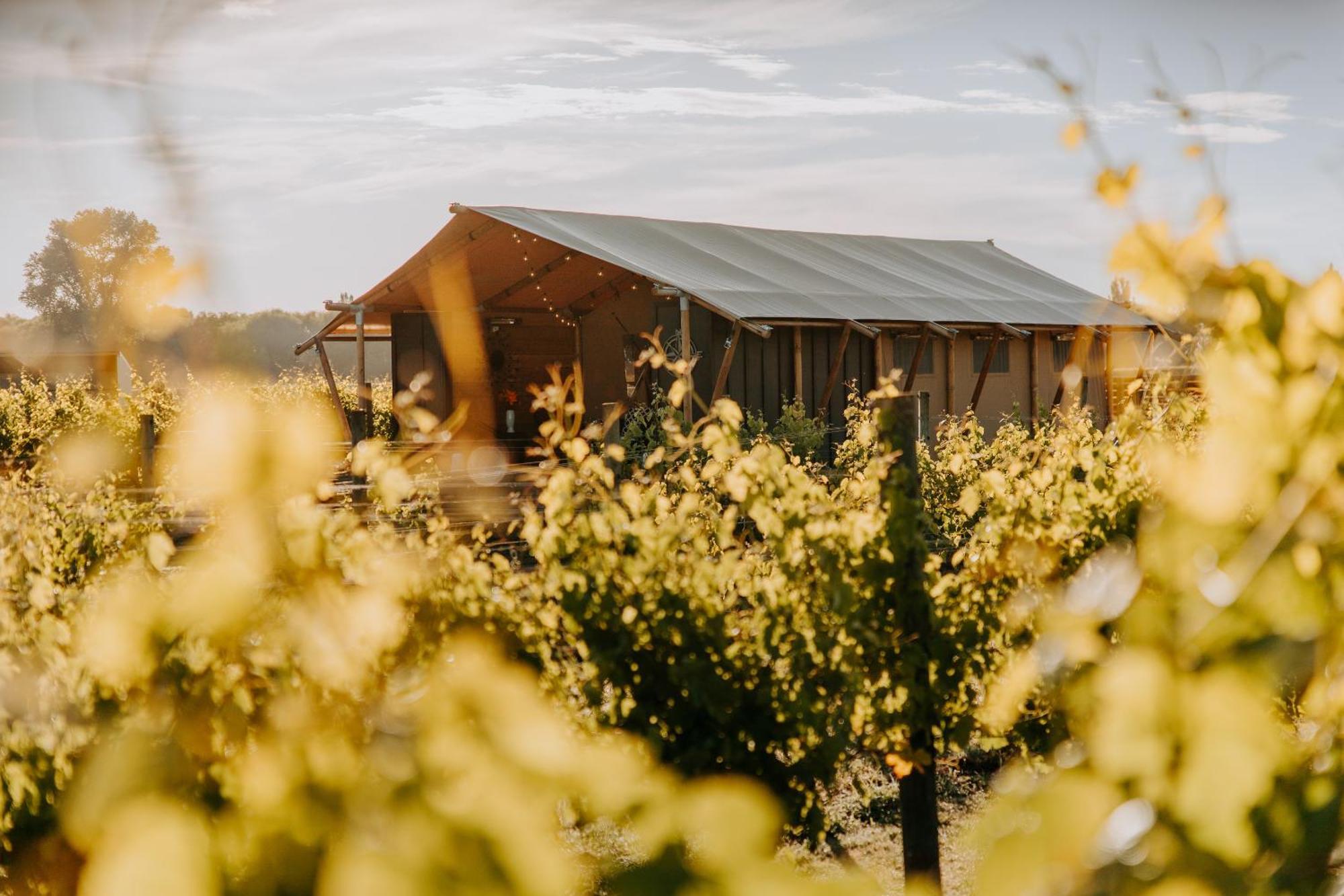 Villas & Vines Glamping Hastings Buitenkant foto