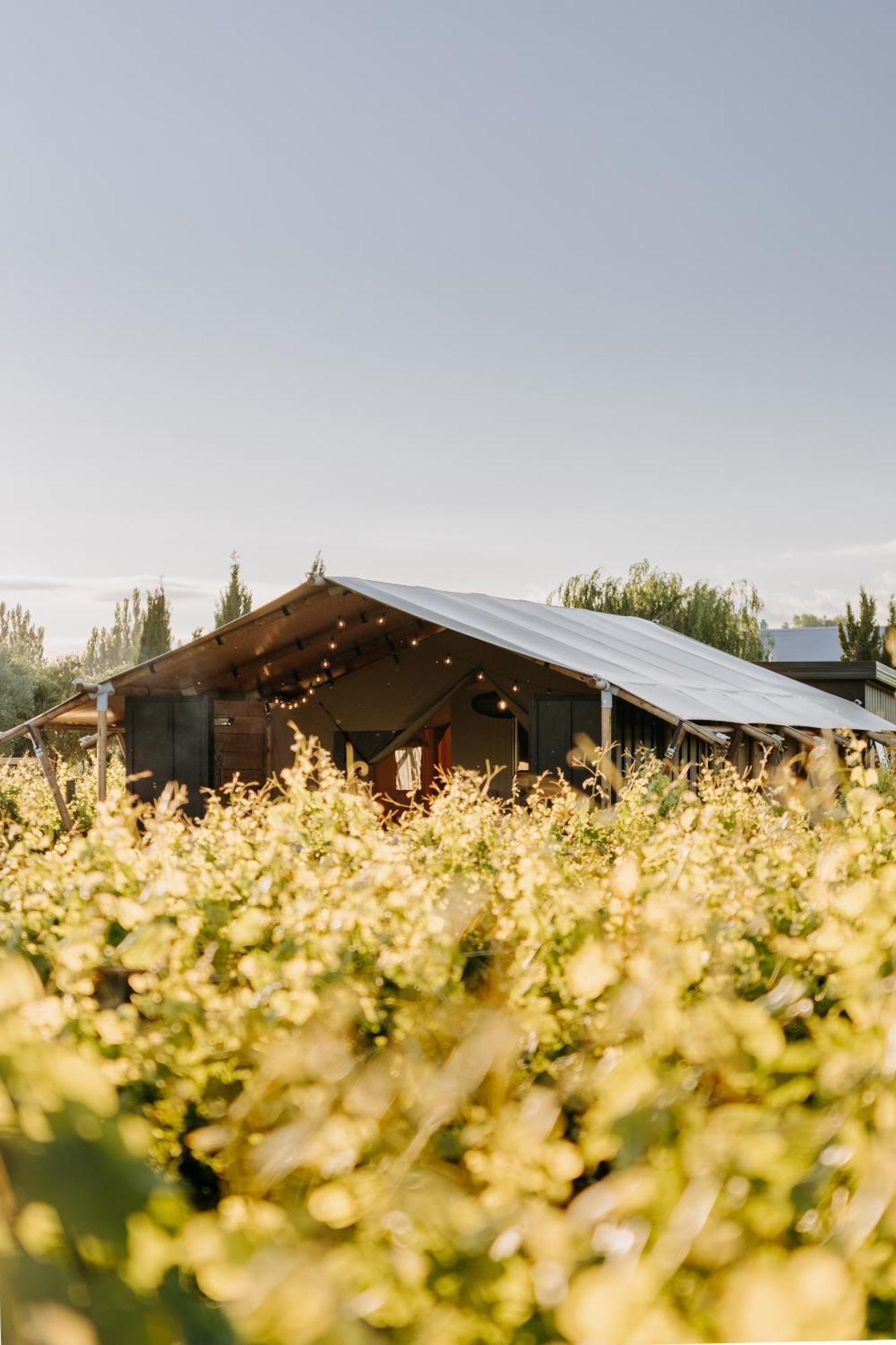 Villas & Vines Glamping Hastings Buitenkant foto
