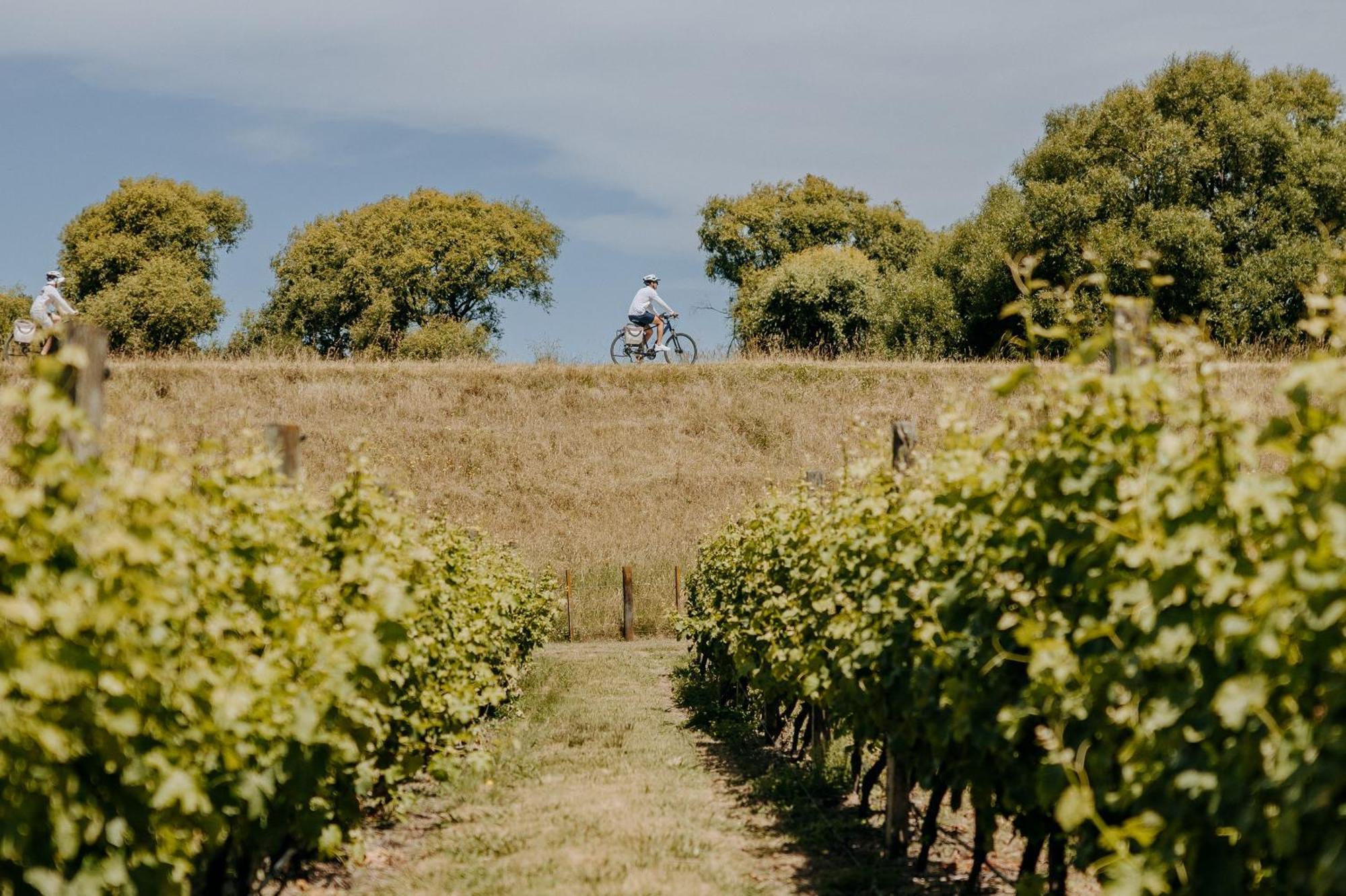 Villas & Vines Glamping Hastings Buitenkant foto